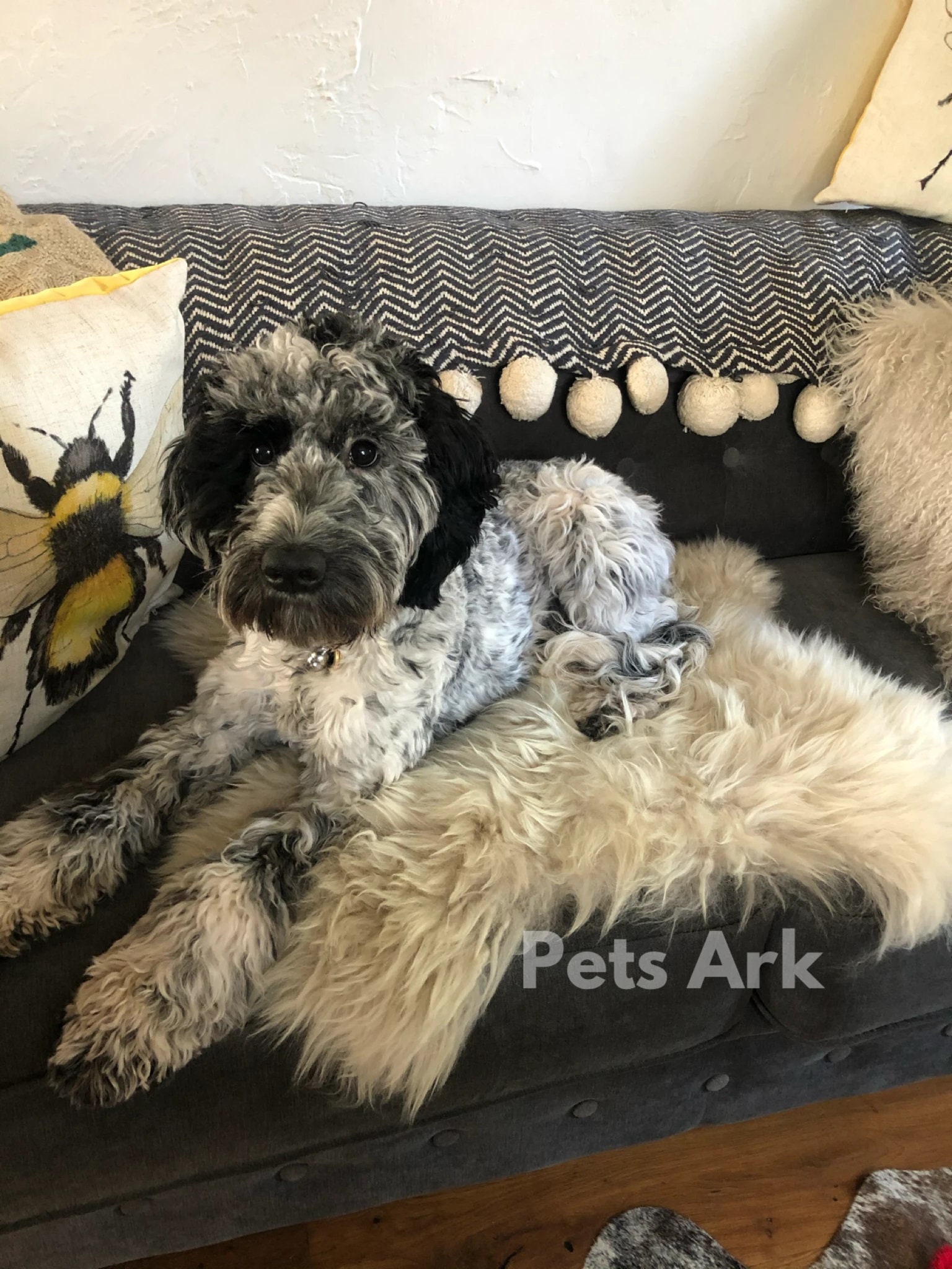 Sheepskin pet beds Etsy