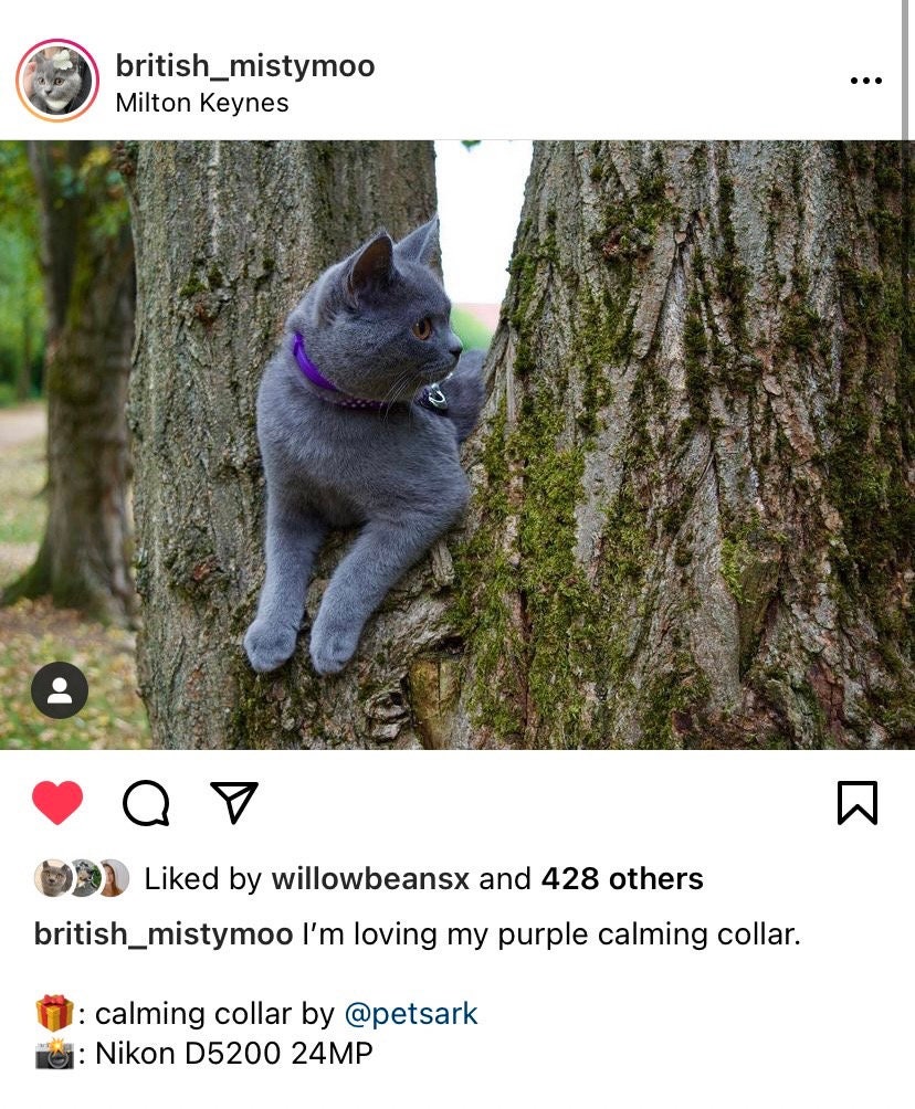 Feliway calming cheap collar