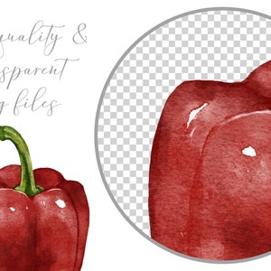 Watercolor Fruit Clip Art Set