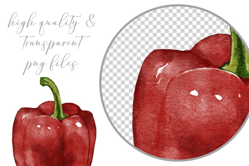 Watercolor Fruit Clip Art Set