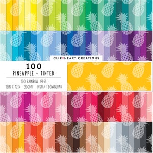 Puede incluir: 100 diseños de papel digital con un patrón de piña blanca sobre un arcoíris de colores. Cada diseño mide 30,48 cm x 30,48 cm y 300 DPI.