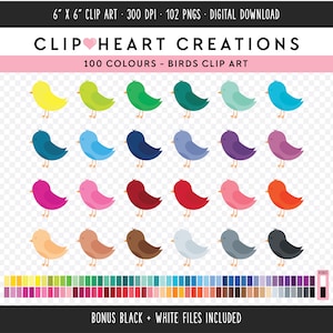 100 aves Clip Art, uso comercial Descarga instantánea PNG Bird Digital Clip Art, Rainbow Bird Digital Planner Clipart