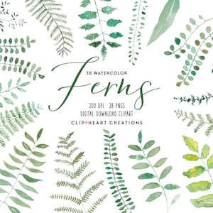 Watercolor Ferns Clipart, Commercial Use Instant Download PNG Handpainted Watercolour Greenery Digital Clip Art, Greenery Leaf Ferns