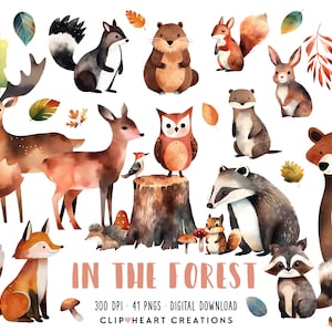 Nel set di clipart dell'acquerello della foresta, download istantaneo per uso commerciale PNG clipart digitale dell'acquerello, pacchetto acquerello degli animali del bosco