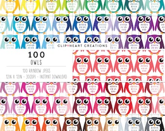 100 Owls Digital Paper, Commercial Use Seamless Owl Pattern Digital Papers, Rainbow Owl Scrapbooking Planner Digital Paper Pack
