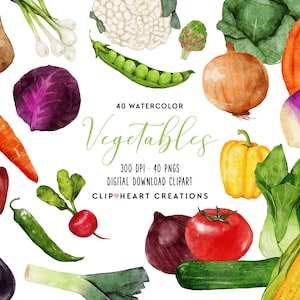 Watercolor Vegetables Clip Art, Commercial Use Instant Download PNG Watercolour Food Clean Eating Digital Clip Art