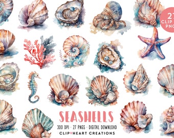 Seashells Watercolor Clipart Set, Commercial Use Instant Download PNG Watercolour Digital Clip Art, Beach Shells Watercolour Pack