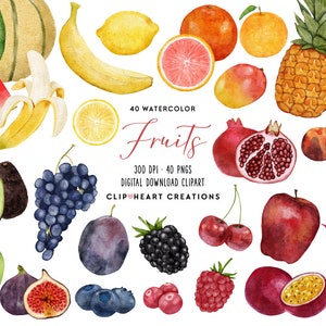 Watercolor Fruit Clip Art, Commercial Use Instant Download PNG Watercolour Fruits Clean Eating Digital Clip Art