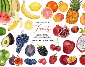 Watercolor Fruit Clip Art, Commercial Use Instant Download PNG Watercolour Fruits Clean Eating Digital Clip Art