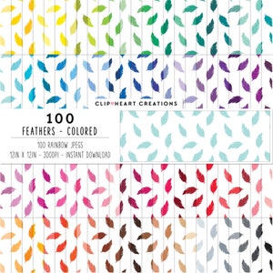 Puede incluir: Una descarga digital de 100 patrones de plumas de colores. Cada patrón mide 30,48 cm por 30,48 cm y 300 DPI. Los patrones están dispuestos en un esquema de colores arcoíris.