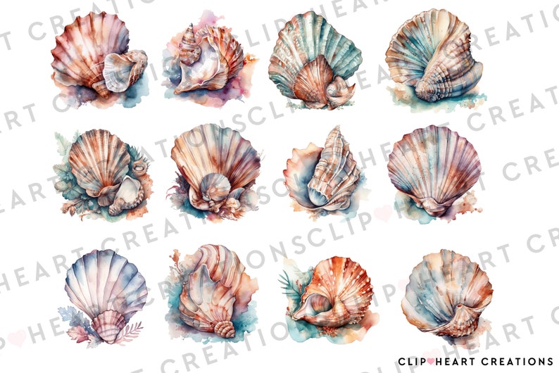 Seashells Watercolor Clipart Set, Commercial Use Instant Download PNG ...