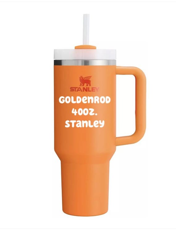 Authentic 40oz Stanley Laser Engraved With Disney's Orange Bird