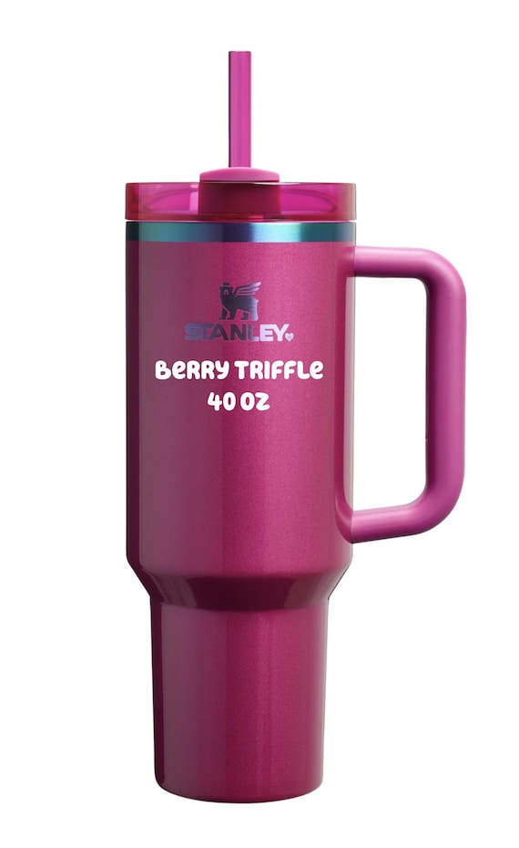 Mean Girls Laser Engraved 40oz Stanley Cup – 