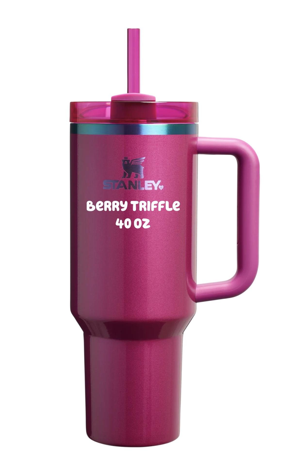 Mean Girls Laser Engraved 40oz Stanley Cup – 