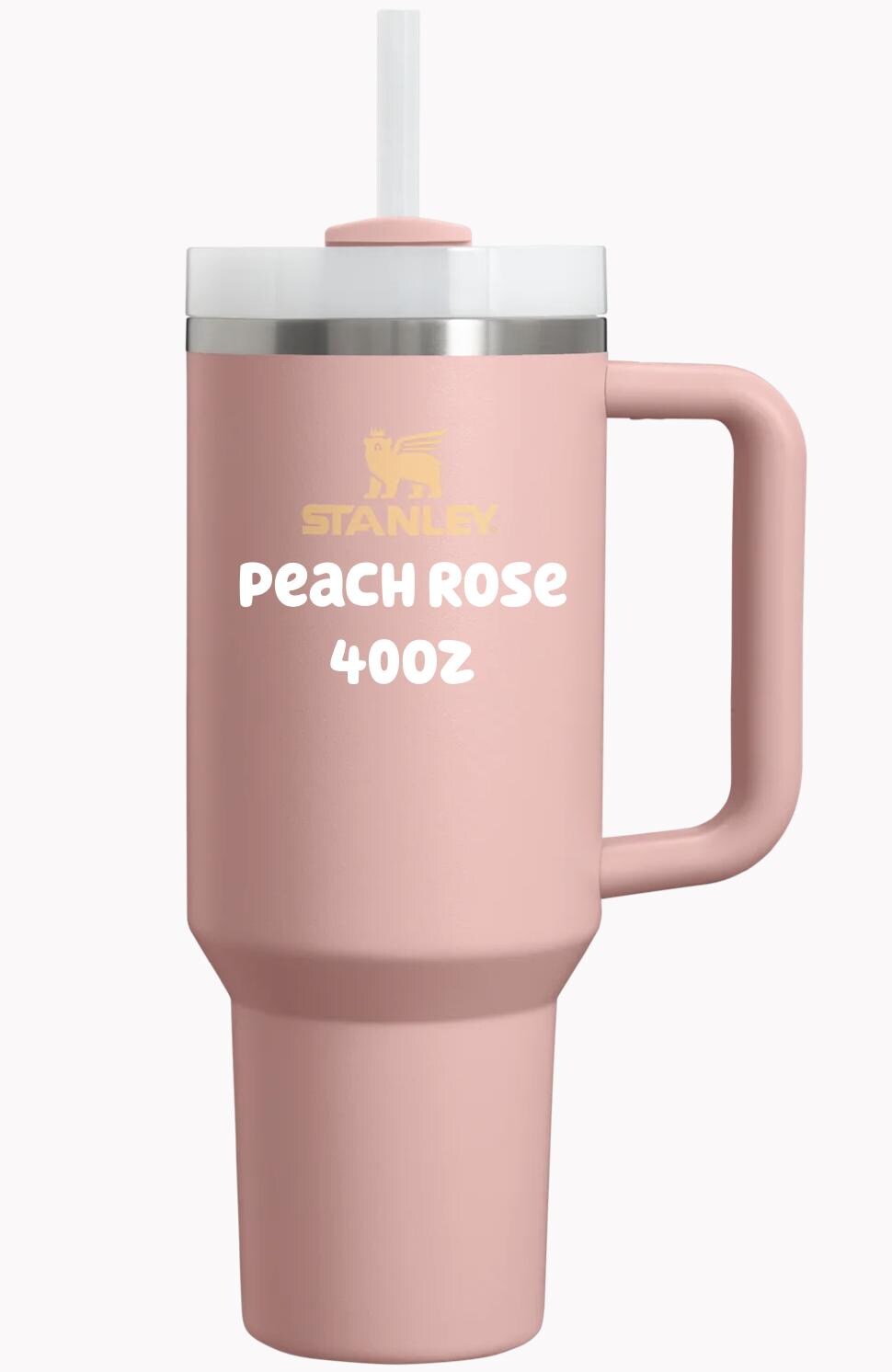 Whimsical Care Bears Laser Engraved 40oz Stanley Cup - Choose Your