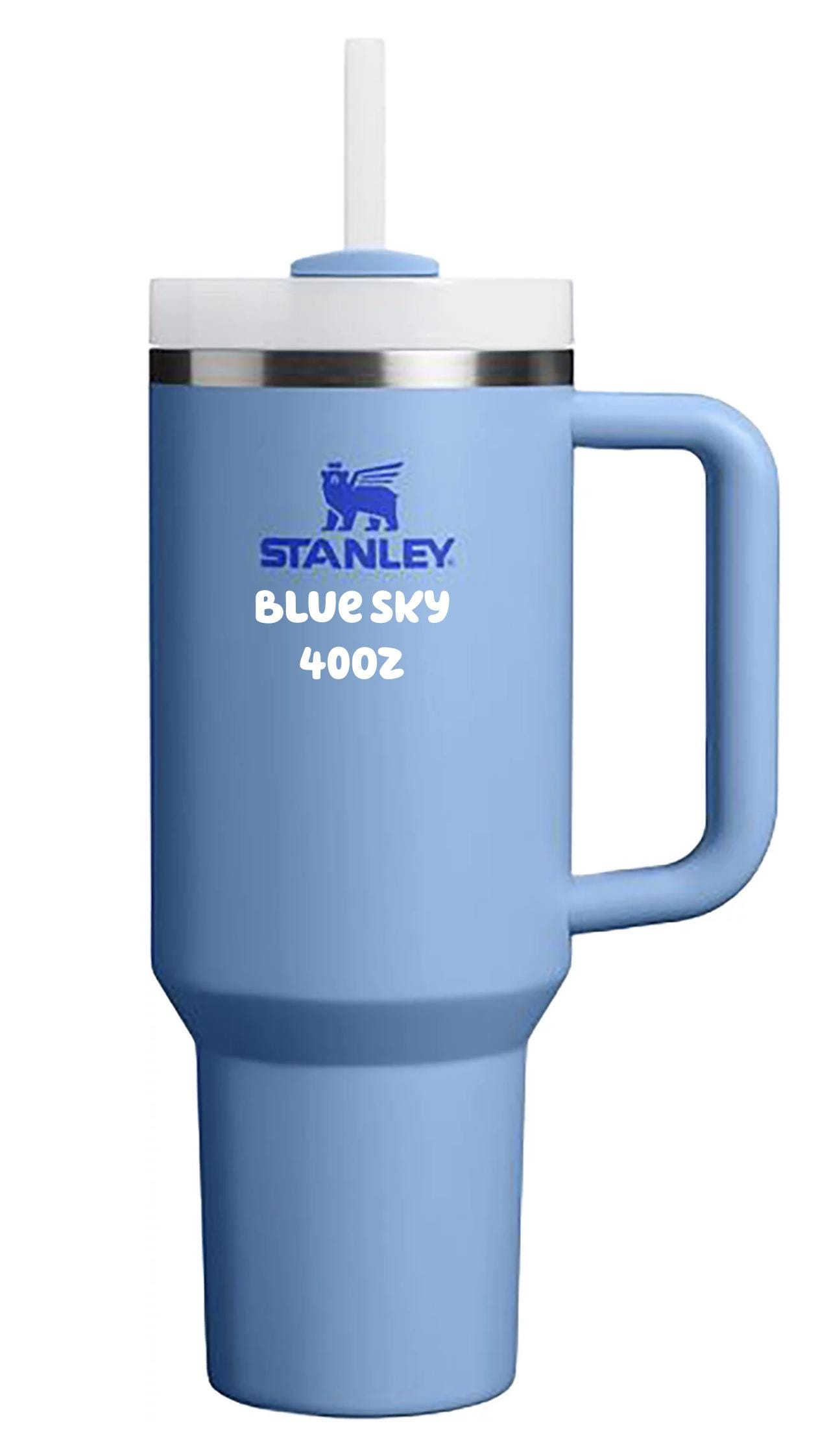 Cinderella Themed Laser Engraved 40 Oz. Stanley Tumbler - Etsy