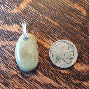May include: A polished, oval-shaped pendant with a silver bail, in shades of green and tan. A silver coin with a Native American profile is next to the pendant. The pendant is on a wooden surface.
