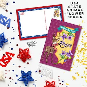 ILLINOIS - Cartoline di animali e fiori dello stato degli Stati Uniti / Cartoline dello stato degli Stati Uniti 4 "x 6" / Set di 5 cartoline