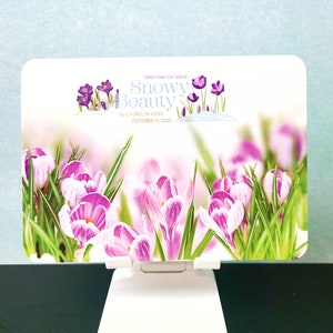 Crocus Snow Beauty 2022 Maximale ansichtkaart | Digitaal gekleurd poststempel