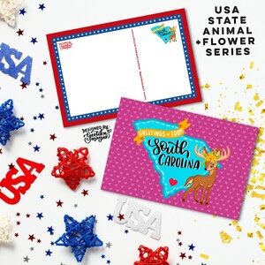 Carolina del Sud - Cartoline di animali e fiori dello stato degli Stati Uniti / Cartoline dello stato degli Stati Uniti 4" x 6" / Set di 5 cartoline