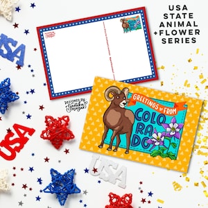 COLORADO - Cartes postales d'animaux et de fleurs de l'État américain | Cartes postales d'État des États-Unis 4" x 6" | Lot de 5 cartes postales