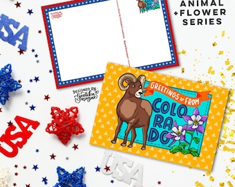 COLORADO - Cartes postales d'animaux et de fleurs de l'État américain | Cartes postales d'État des États-Unis 4" x 6" | Lot de 5 cartes postales