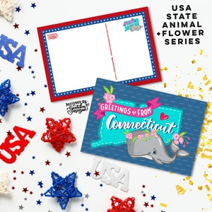 CONNECTICUT - Cartoline di animali e fiori dello stato degli Stati Uniti / Cartoline dello stato degli Stati Uniti 4" x 6" / Set di 5 cartoline