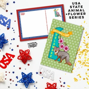 DELAWARE - Cartes postales d'animaux et de fleurs de l'État américain | Cartes postales d'état des États-Unis 4" x 6" | Lot de 5 cartes postales