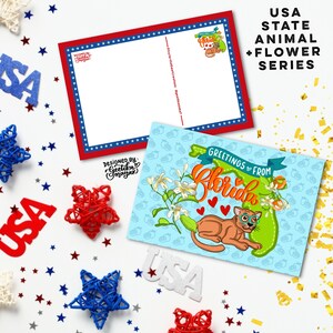 FLORIDA - Cartoline di animali e fiori dello stato degli Stati Uniti / Cartoline dello stato degli Stati Uniti 4 "x 6" / Set di 5 cartoline
