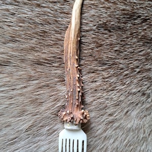 Weaving combs. N°3 chevreuil et os