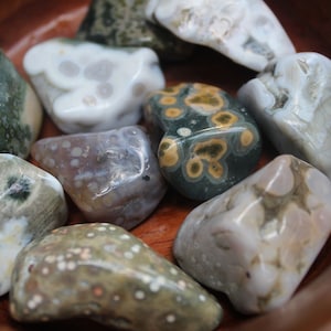 Ocean Jasper Tumbled Crystals | Large and Small | Druzy Pockets | Rough Tumble | Cellular Jasper | Ocean Orbicular Jasper | Atlantis Stone