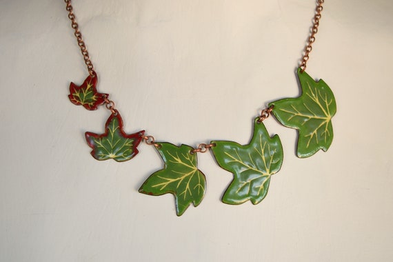elefantenohr hnliche pflanze Alocasia cucullata  Elefantenohr