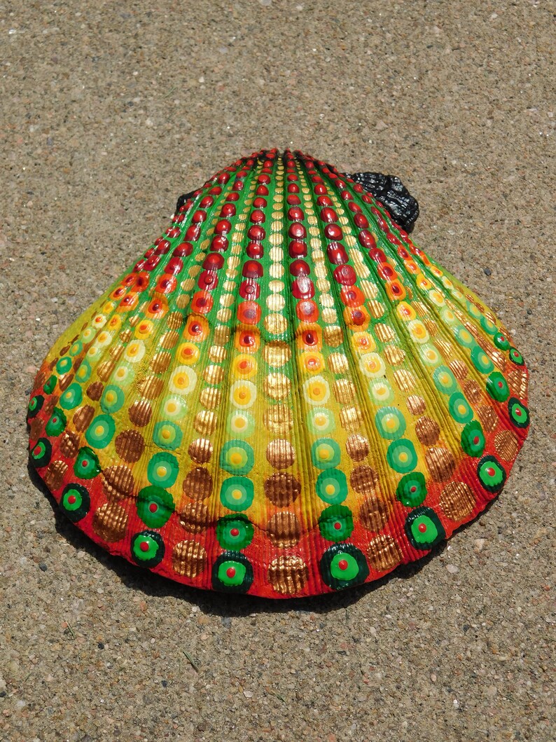 Mermaid Seashell Large Lion's Paw Seashell Rastafari Etsy