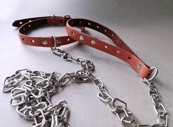 kitten collar and leash