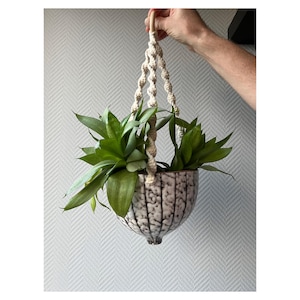 May include: A white ceramic hanging planter with a black and white striped pattern, filled with green plants, hanging from a white macrame rope.