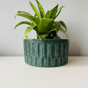 Puede incluir: Una maceta de cerámica verde con un diseño texturizado, que presenta una planta verde con hojas largas y puntiagudas.