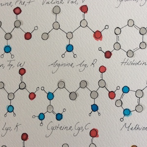 Watercolour Amino Acids image 1