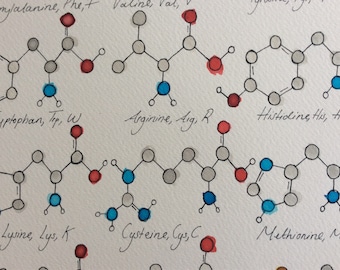 Watercolour Amino Acids