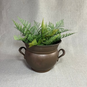 May include: A brown metal planter with two handles, filled with a green leafy plant.