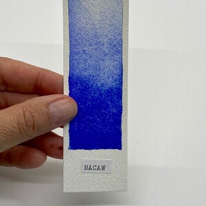 May include: A watercolor paint swatch card with a gradient of blue shades, from light to dark, with the word "MACAW" printed at the bottom.