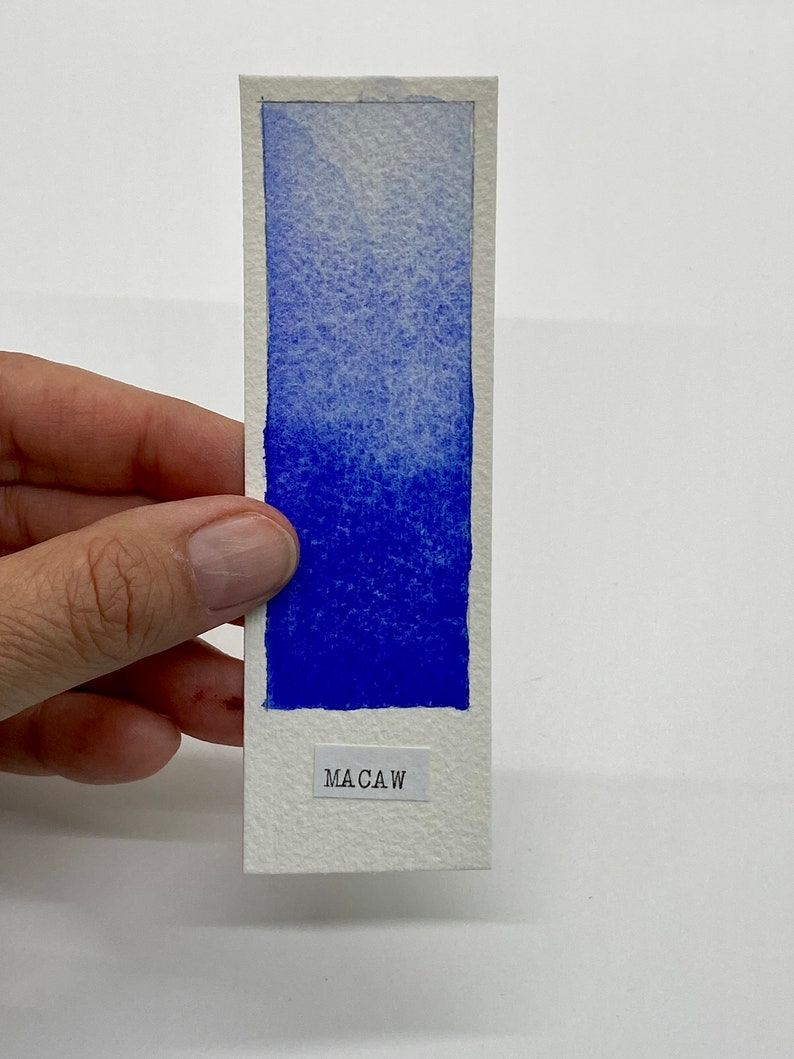 May include: A watercolor paint swatch card with a gradient of blue shades, from light to dark, with the word "MACAW" printed at the bottom.