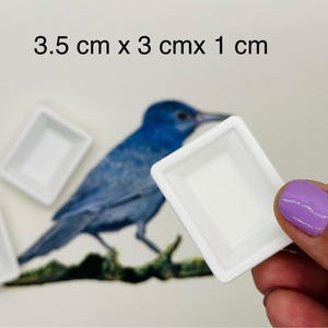 Pode incluir: Três pequenos pratos quadrados de cerâmica branca, cada um medindo aproximadamente 3,5 cm por 3 cm por 1 cm. Os pratos são segurados em frente a uma ilustração de um pássaro azul. O texto acima dos pratos diz "3,5 cm x 3 cm x 1 cm".