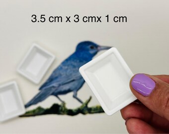 Giant XL Euro  Watercolor Empty Pans -Size 3.5cm x 3cm x 1cm - Comes in pack of 10