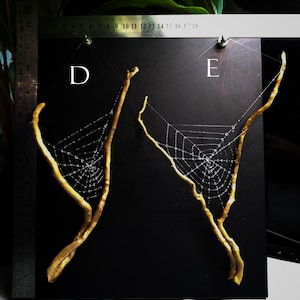 May include: Two decorative spider webs, each crafted with delicate white threads, are suspended against a black background. The webs are attached to natural, golden-brown branches. The letter "D" is visible on the left, and the letter "E" is visible on the right.