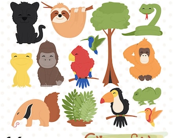 Cute RAINFOREST ANIMALS clipart, Wild animals clip art, Jungle, Chameleon, Toucan and Monkey art - INSTANT download, Printable, Digital png