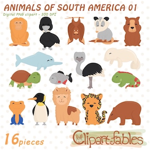 Clipart animaux d'Amérique du Sud, illustrations d'ANIMAUX DE LA FORET TROPICALE, alpaga mignon, art de l'opossum, animaux sauvages, jungle - IMPRESSION IMMÉDIATE