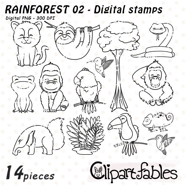 Rainforest Animal Clipart Black And White