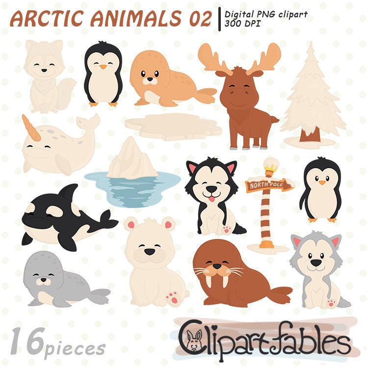Cute ARCTIC ANIMALS Clipart North Pole Animal Friends - Etsy Israel Cute ARCTIC ANIMALS Clipart North Pole Animal Friends - Etsy Israel