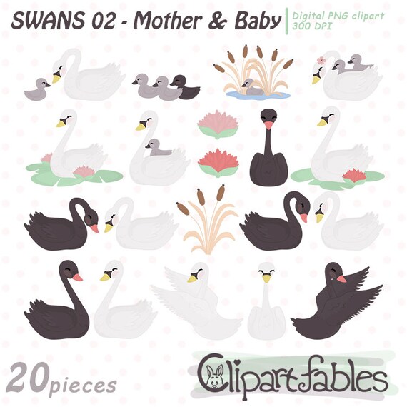 Cute SWAN Clipart MOTHER and Baby Mothers Day Animal | Etsy