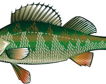 Perch Fish Vinyl Sticker/Decal